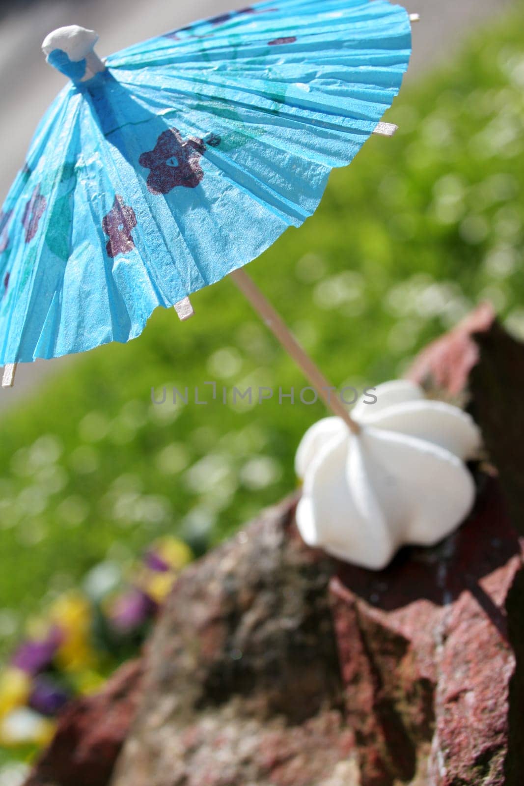 Cute umbrella