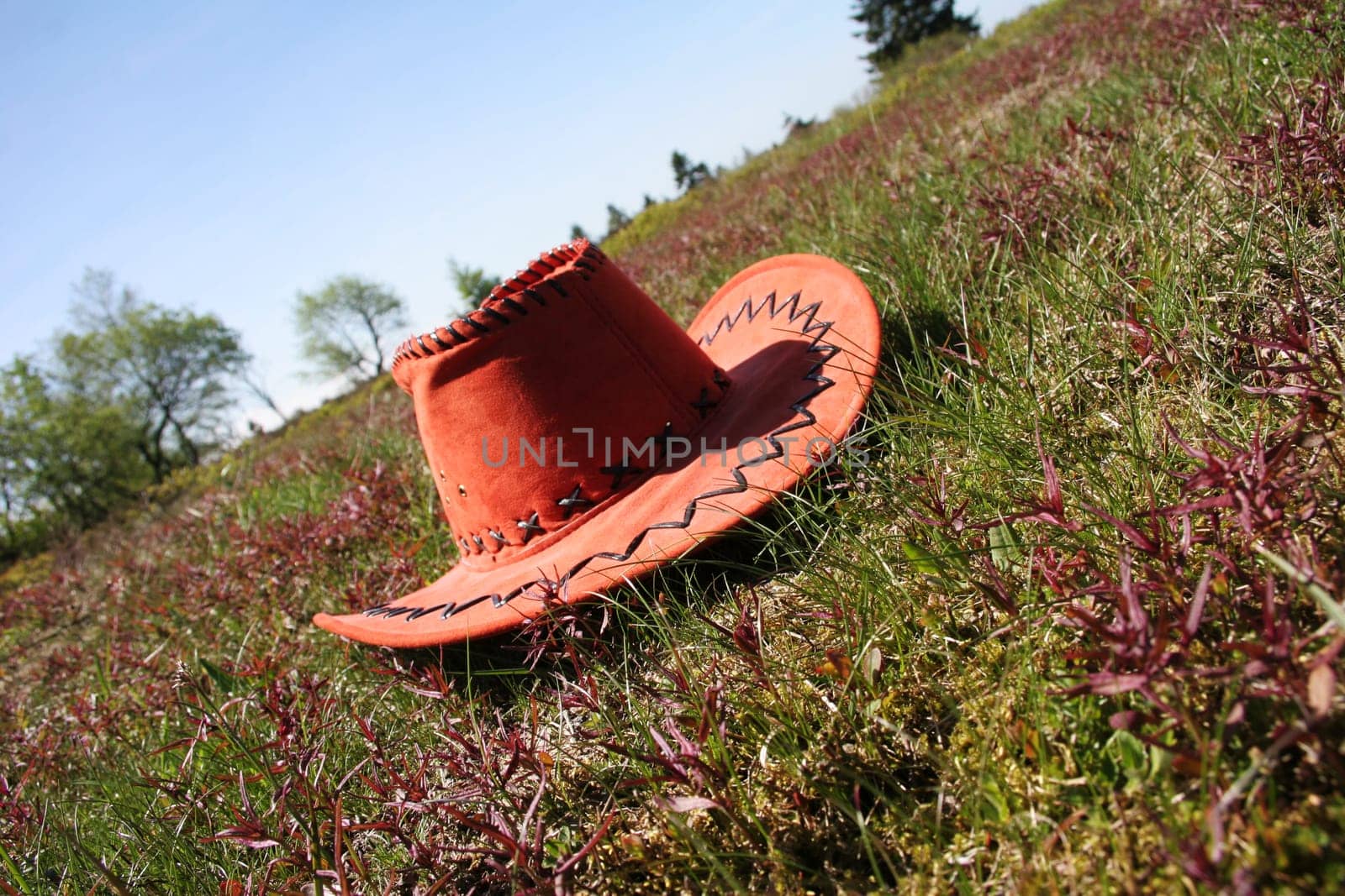 The Hat