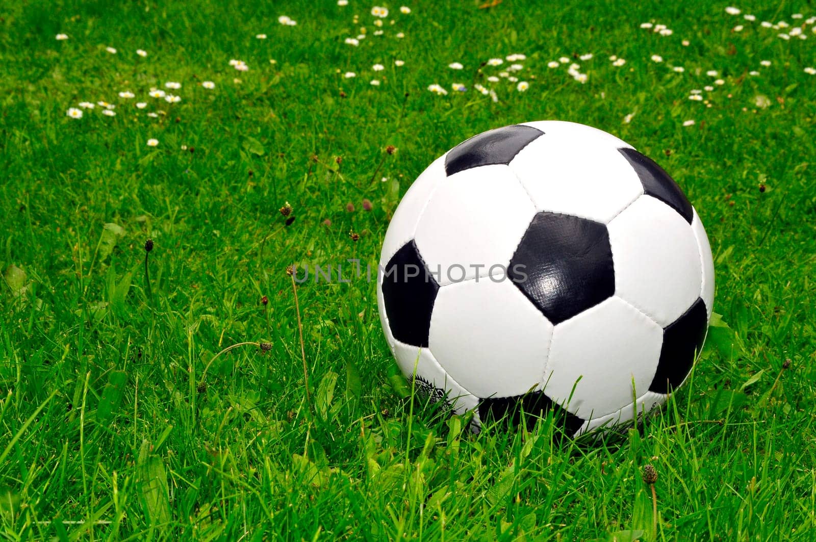 Soccer Meadow World Cup