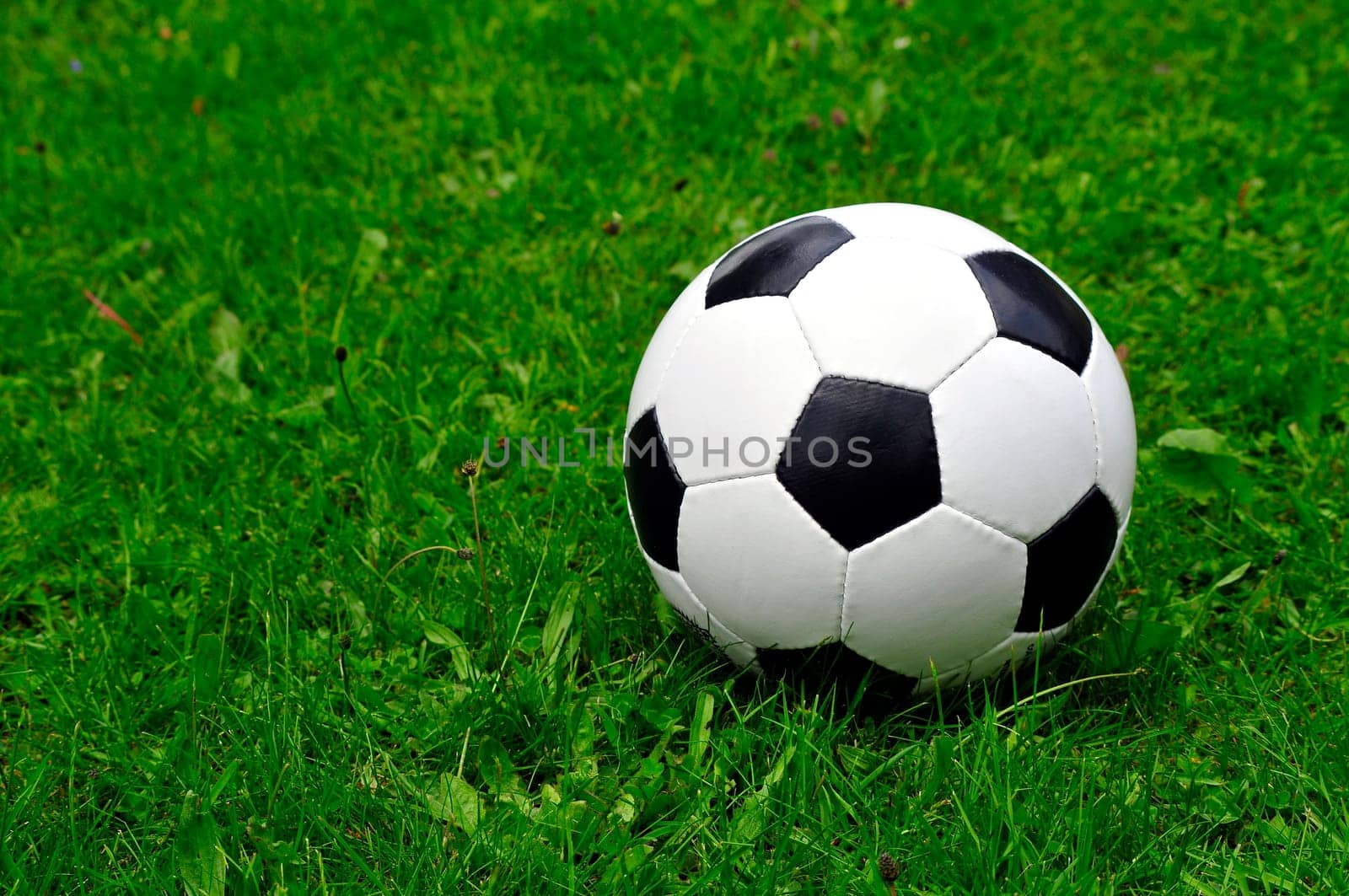 Soccer Meadow World Cup