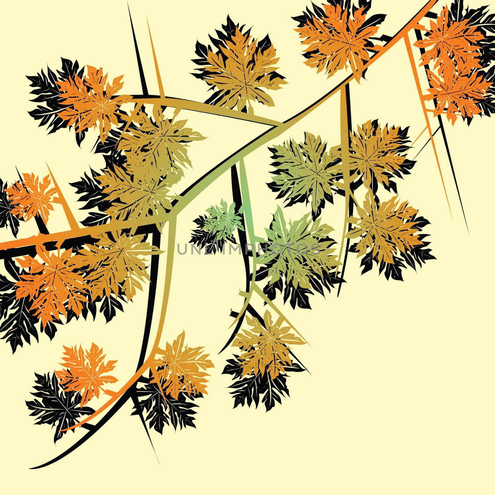 Autumn foliage