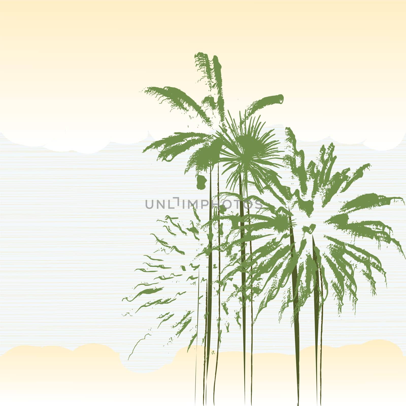 palm trees