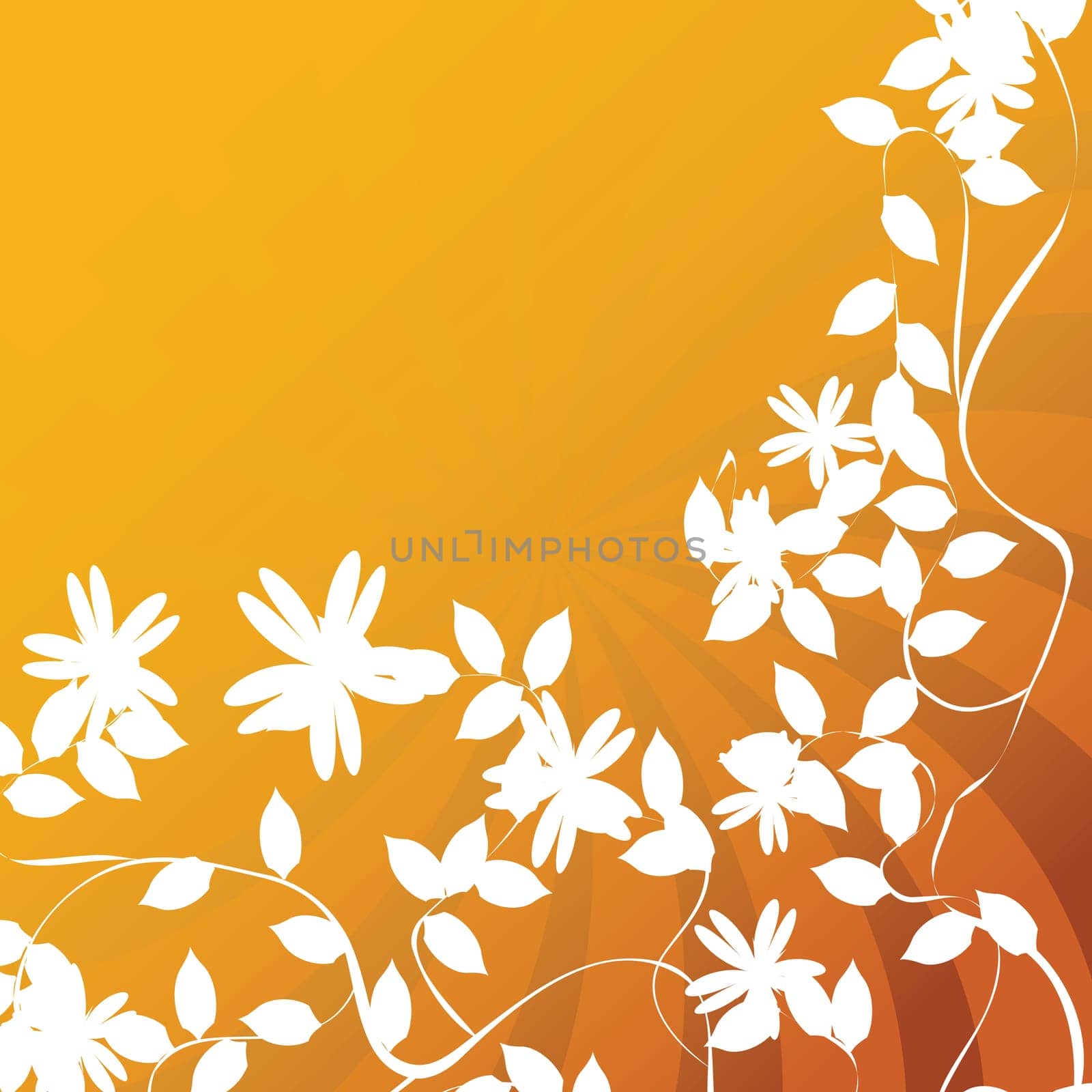 Flower and leaf