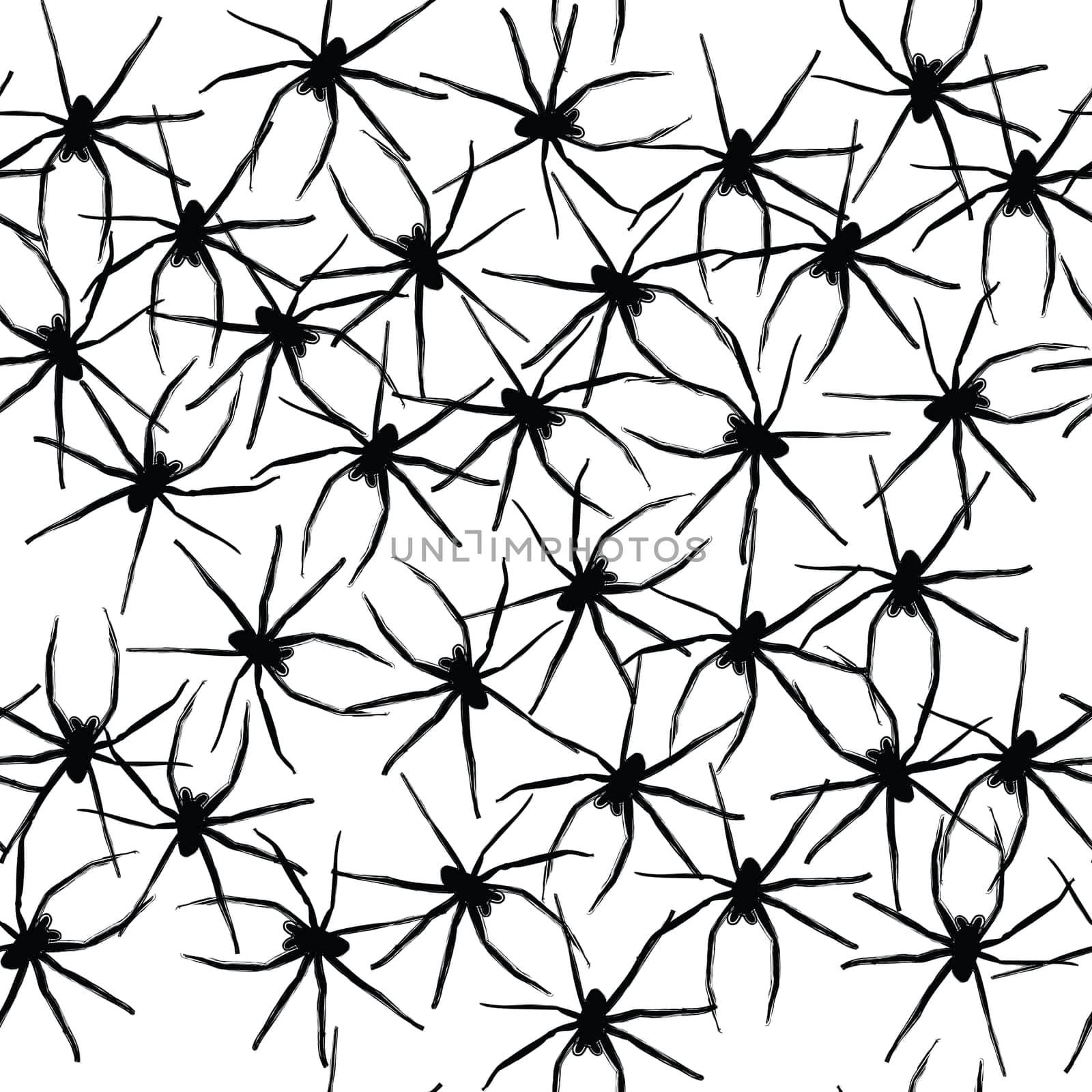 baby spiders
