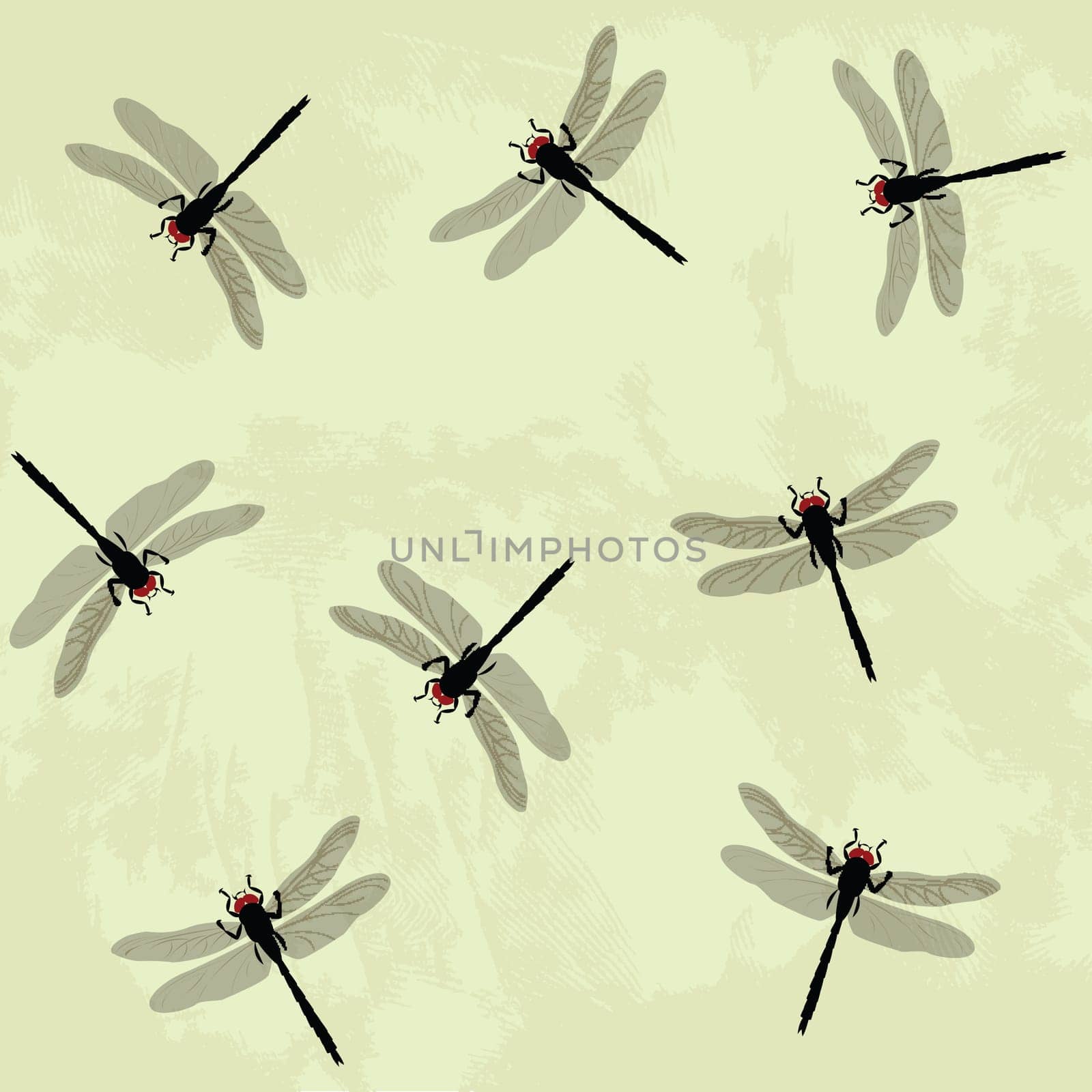 dragonfly