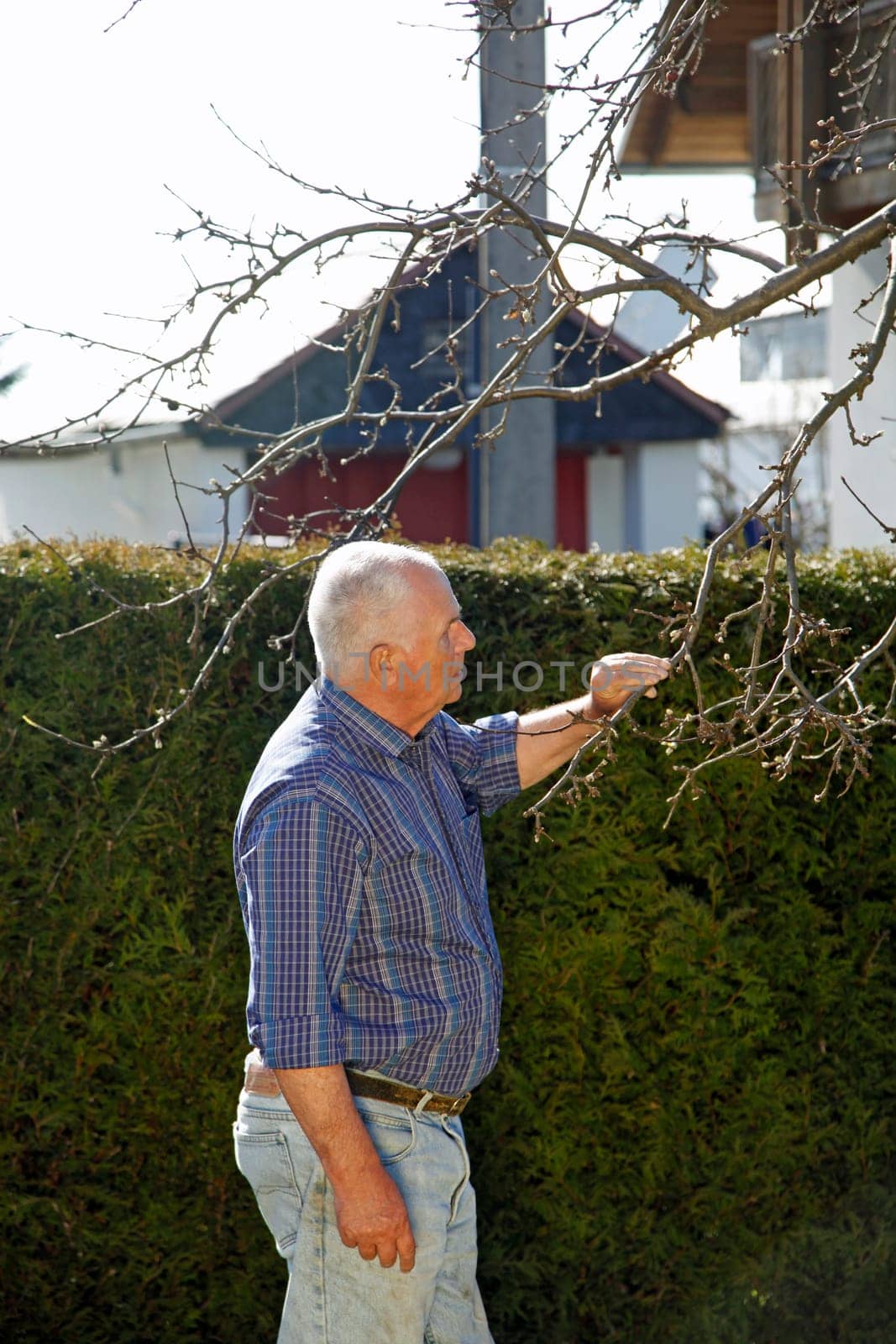 Senior in the garden