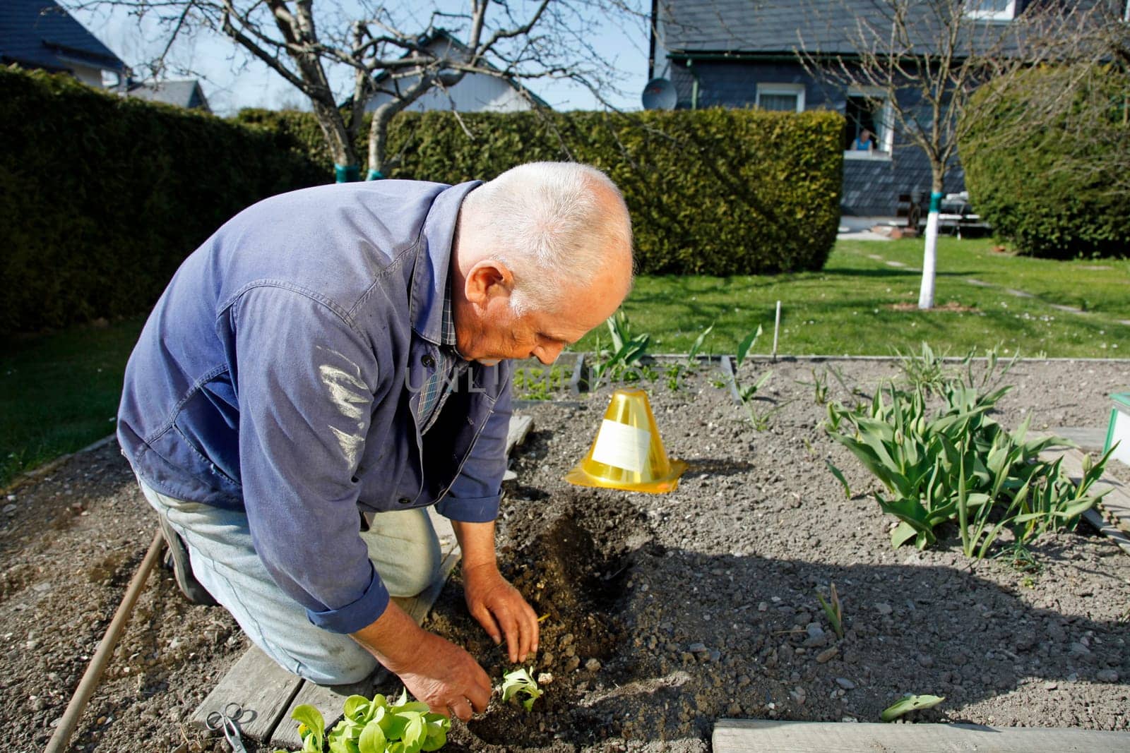Senior in the garden