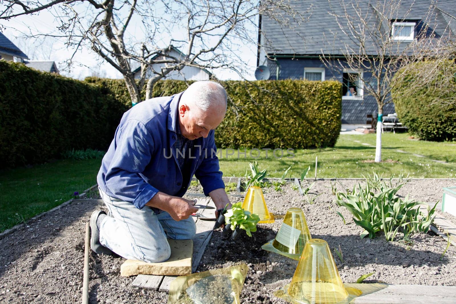 Senior in the garden