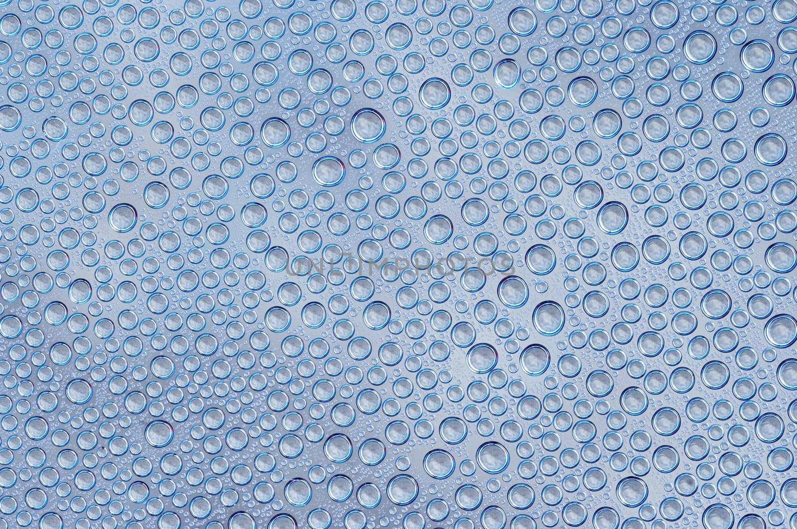 blue water drops