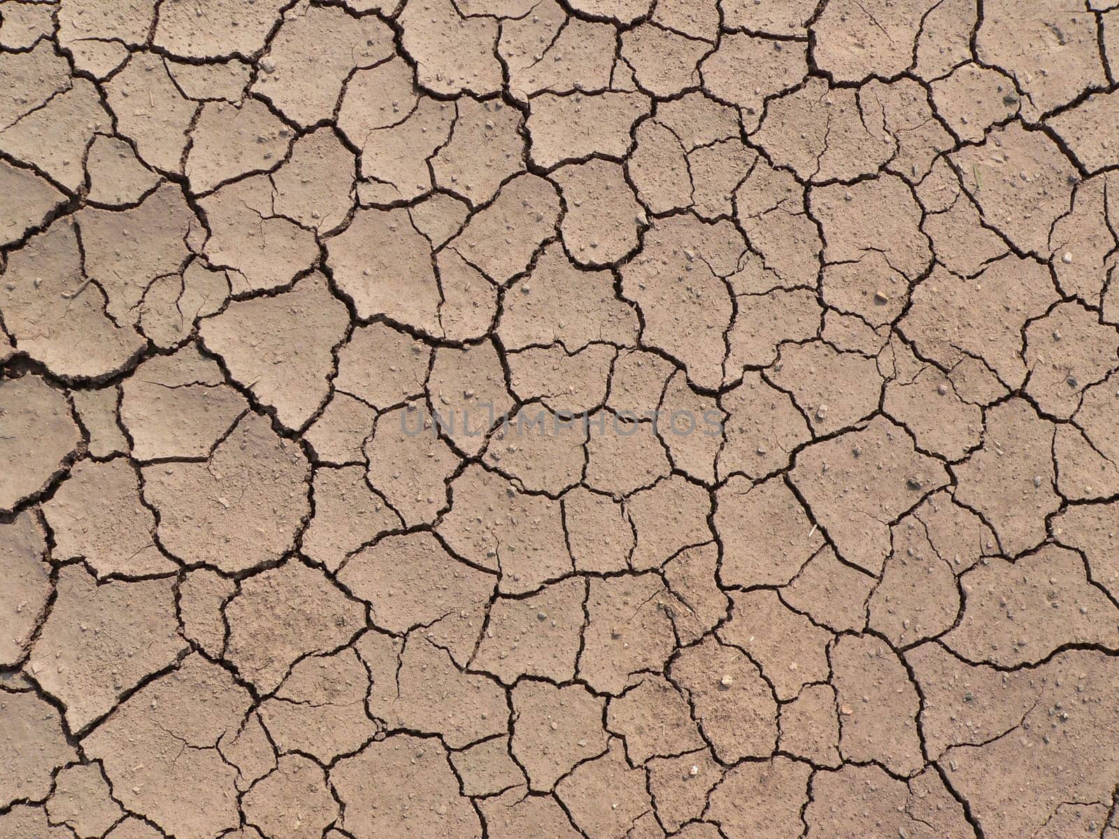 Dry ground texture