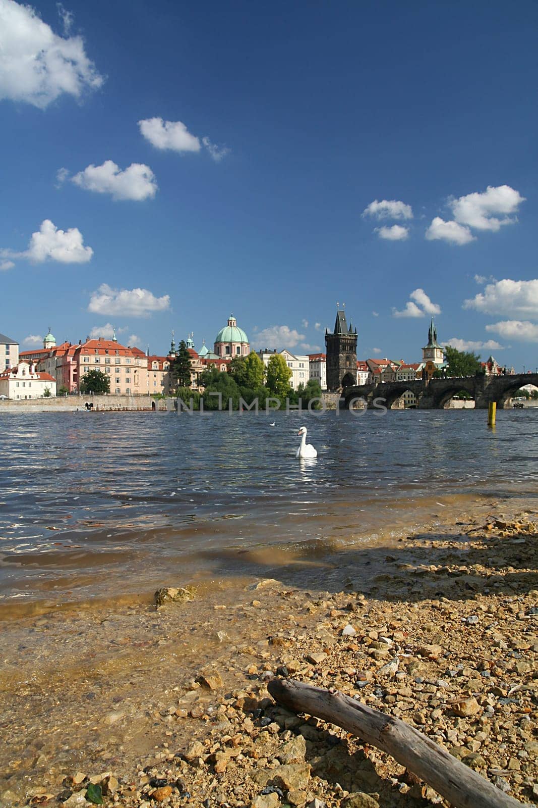 Charles Bridge