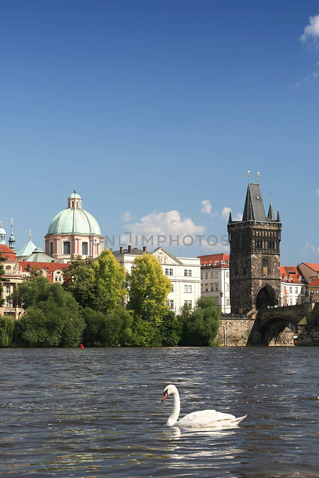 Charles Bridge