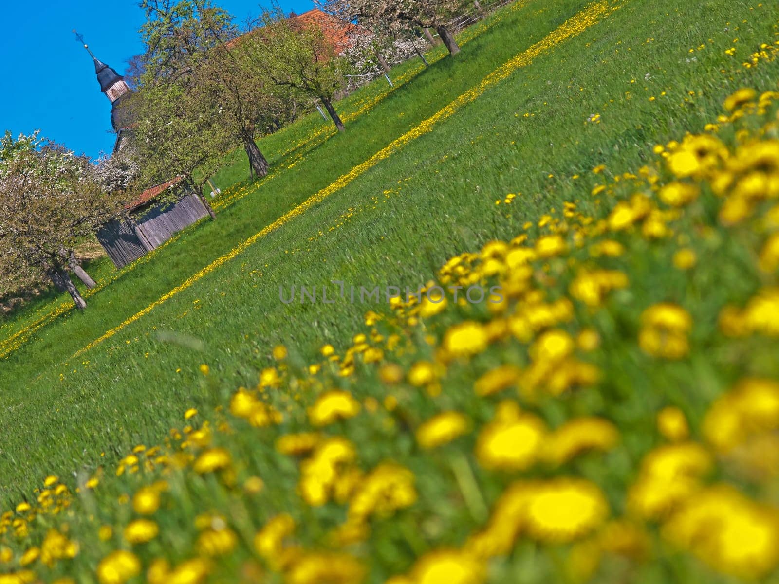 rural idyll
