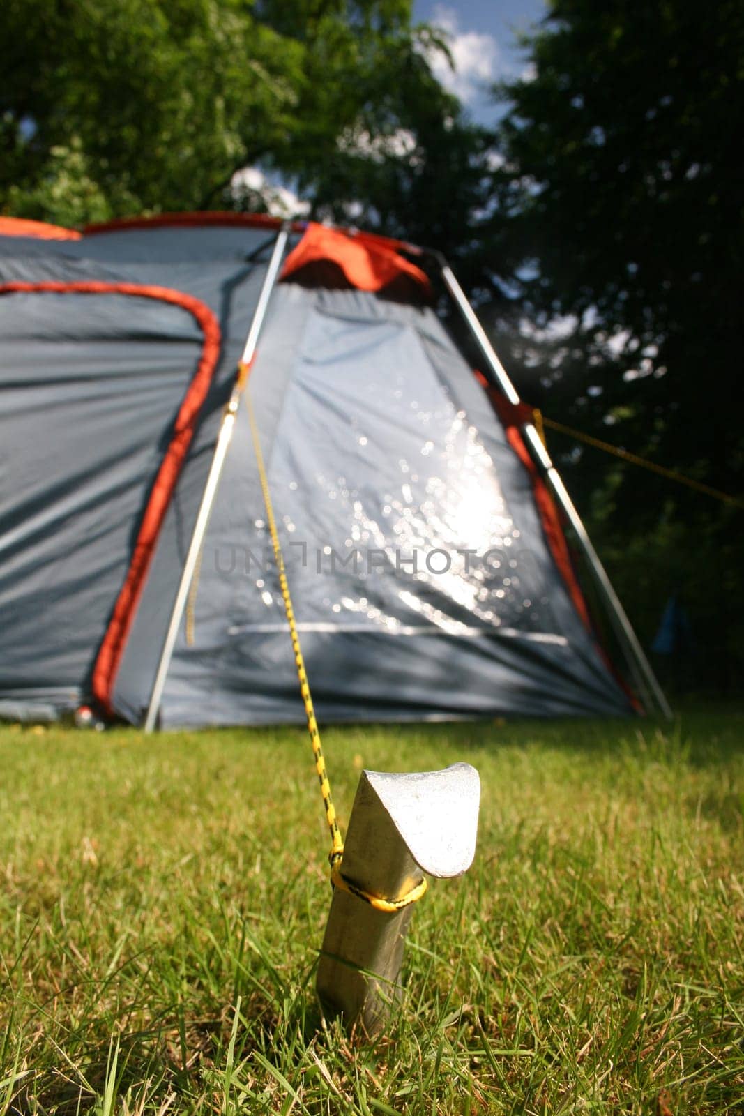 Tent with focus on the tent peg