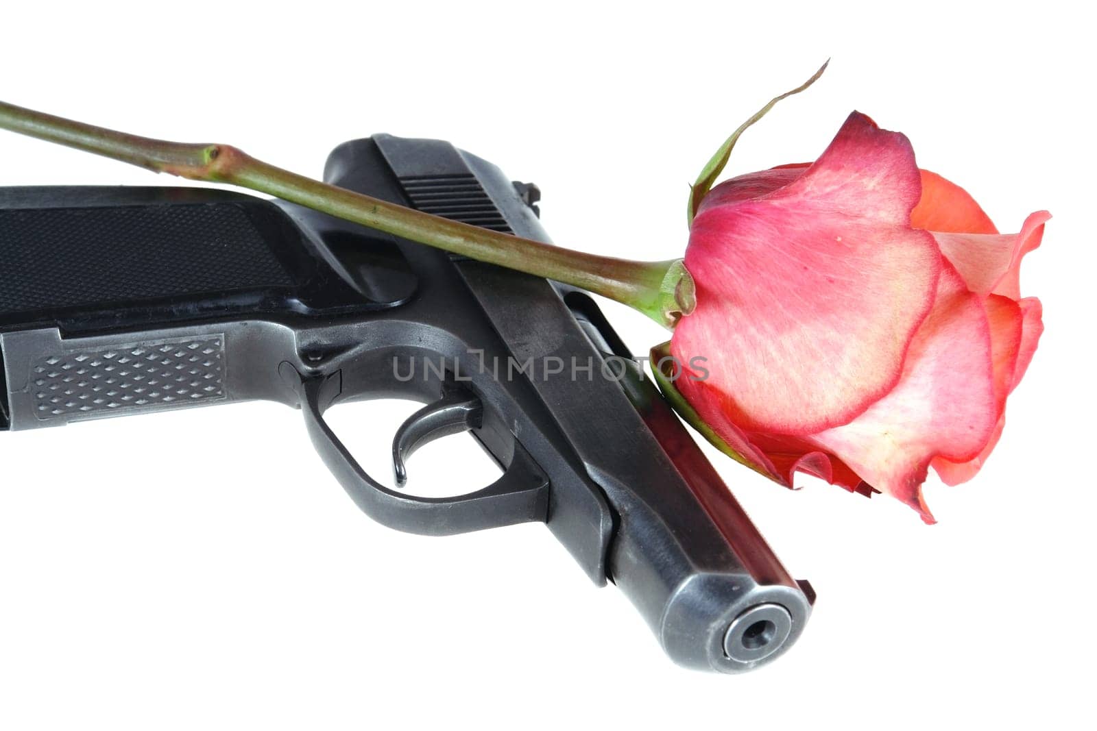 gun and rose