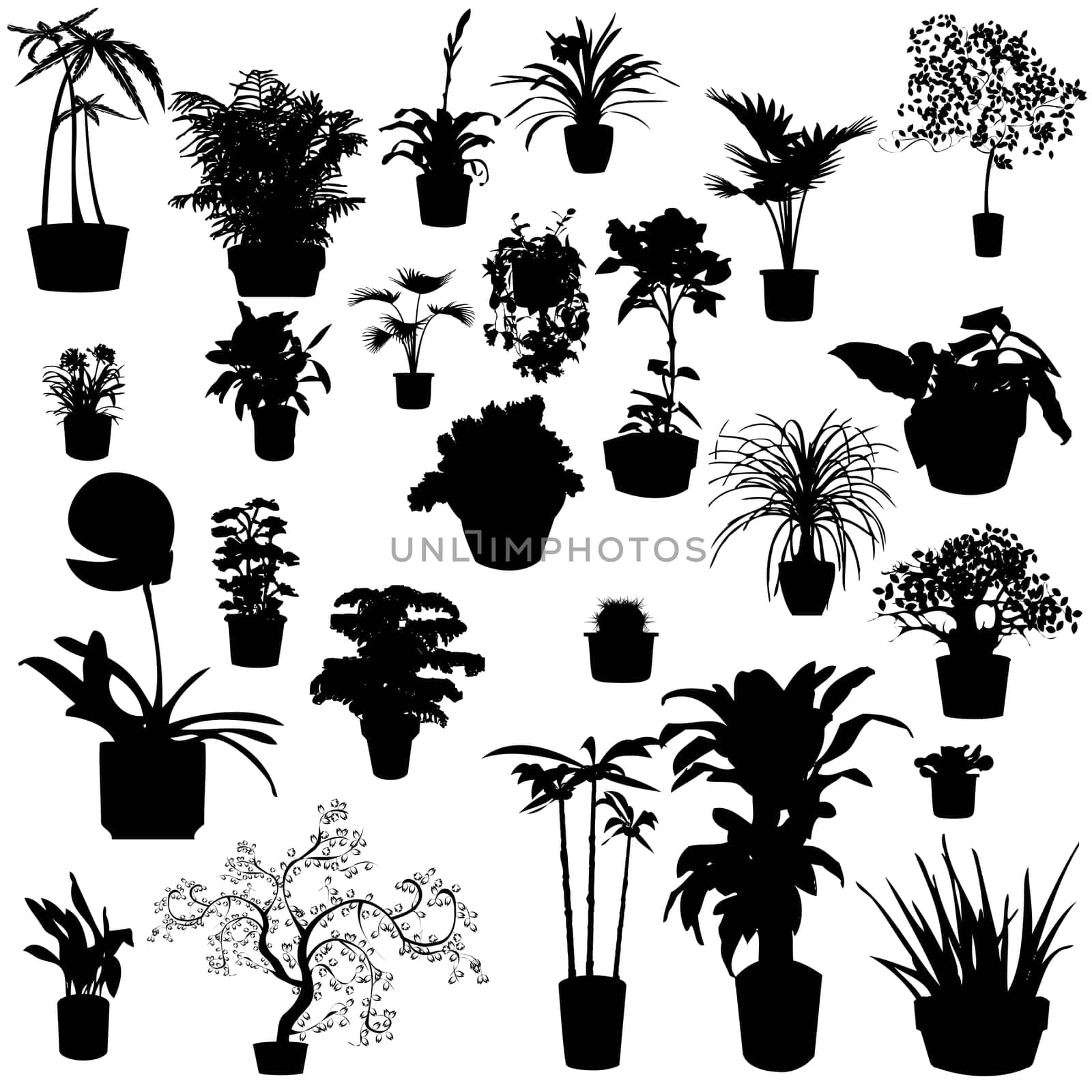 Potted plants