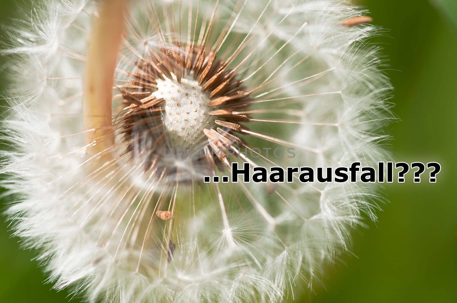 Hair loss?