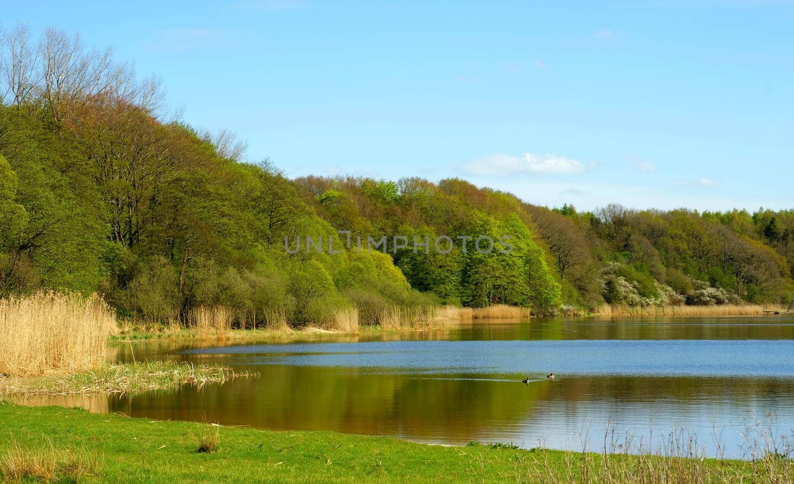 Selker Noor,Schleswig-Holstein