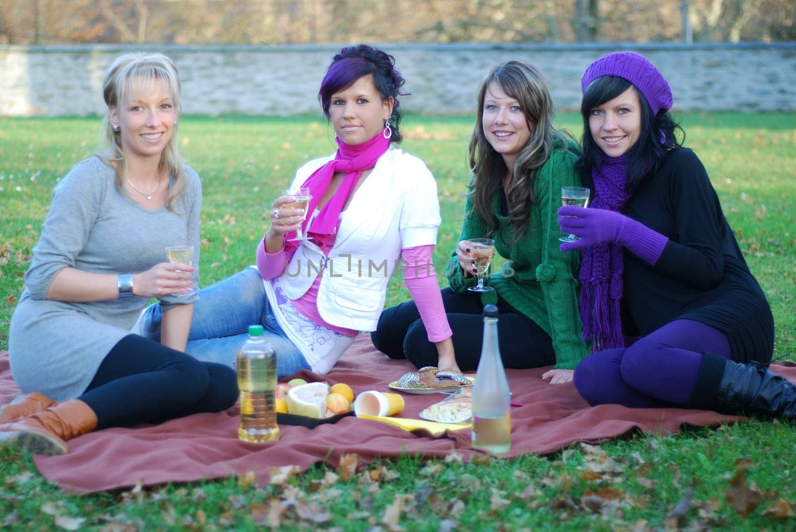 Picnic