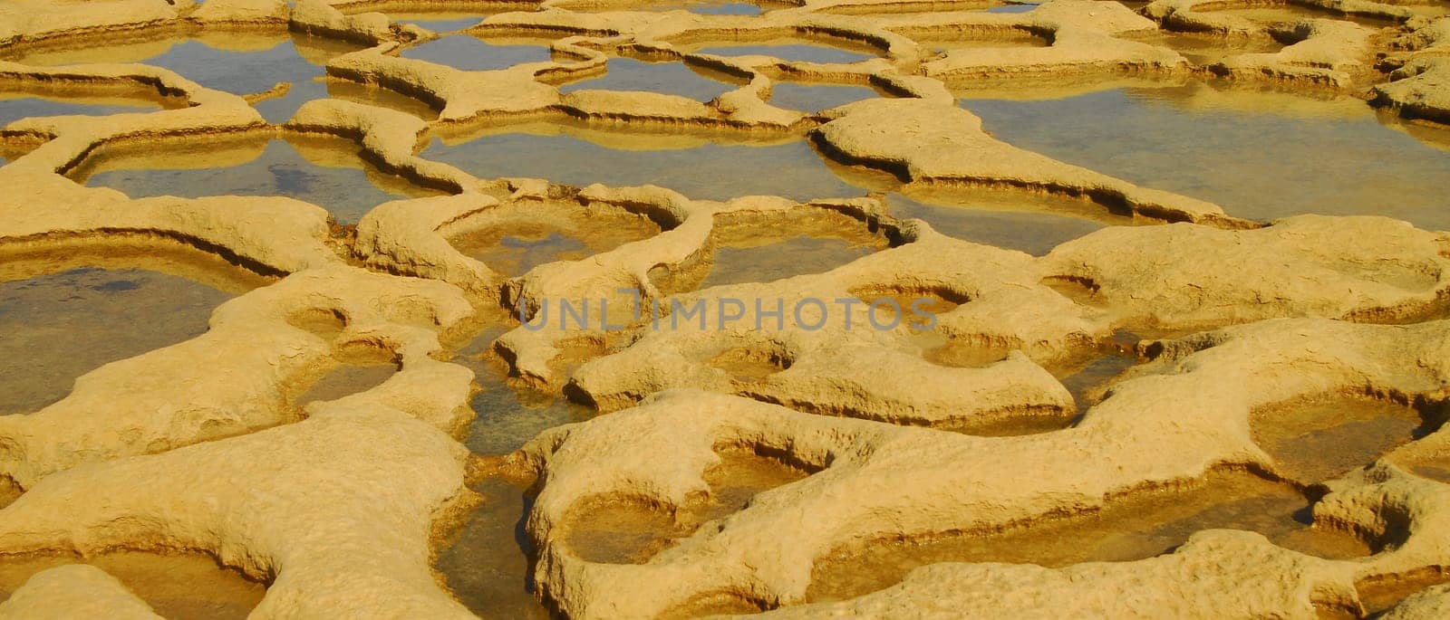 Salt Fields