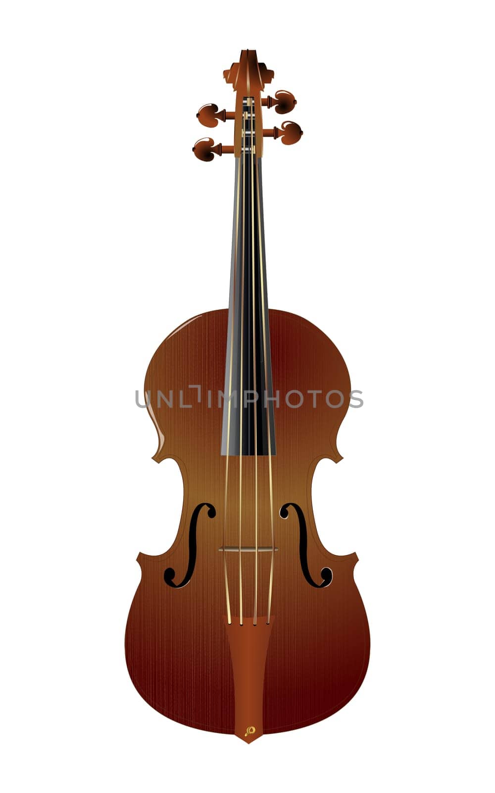 Traditional violin