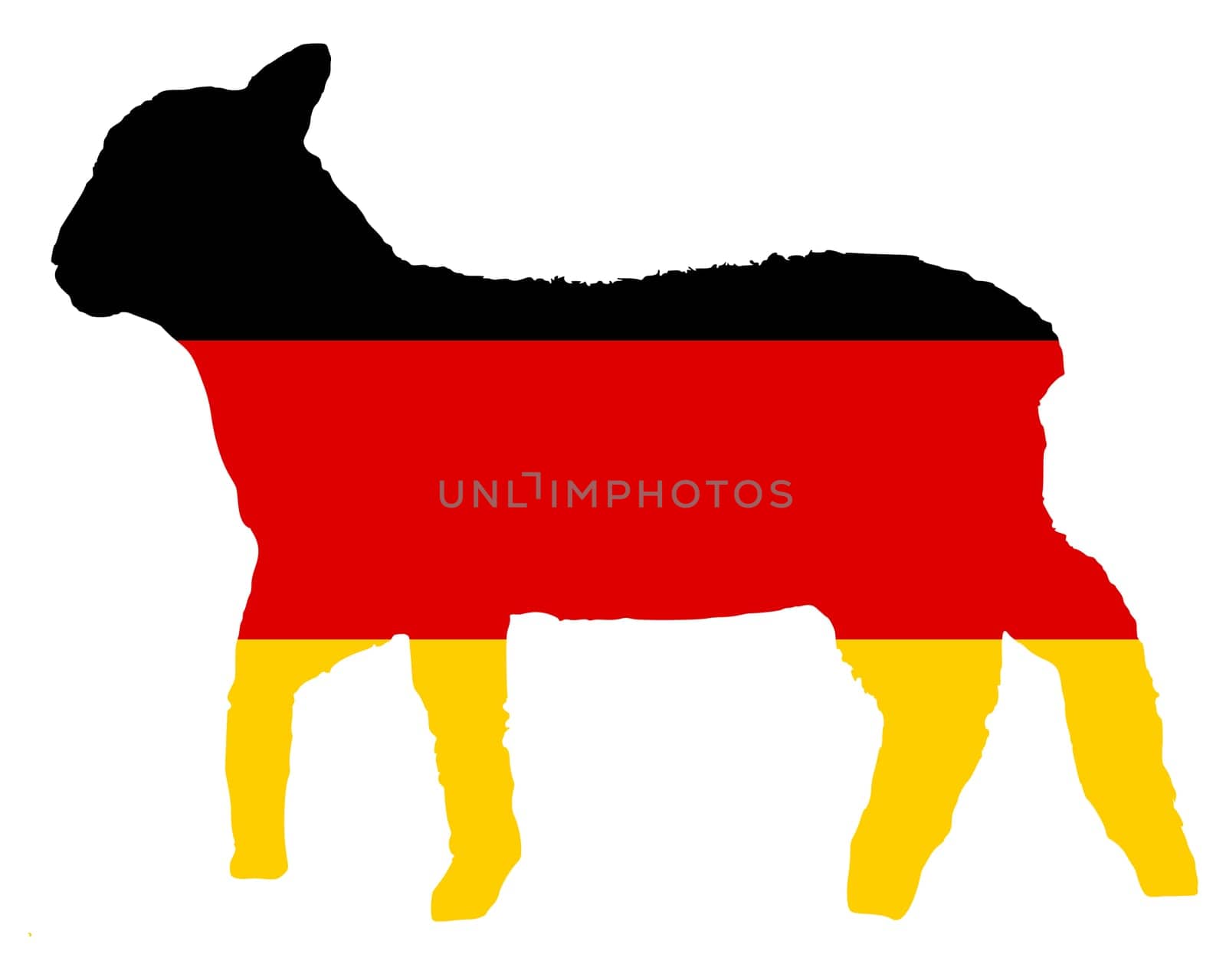 German Lamb