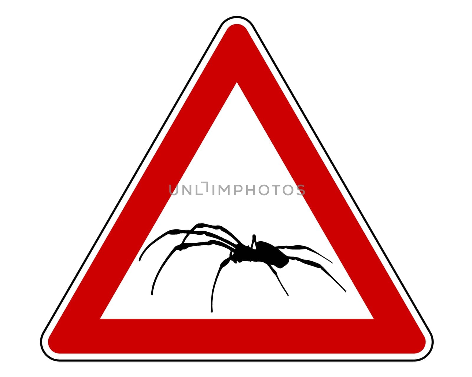 Attention spider