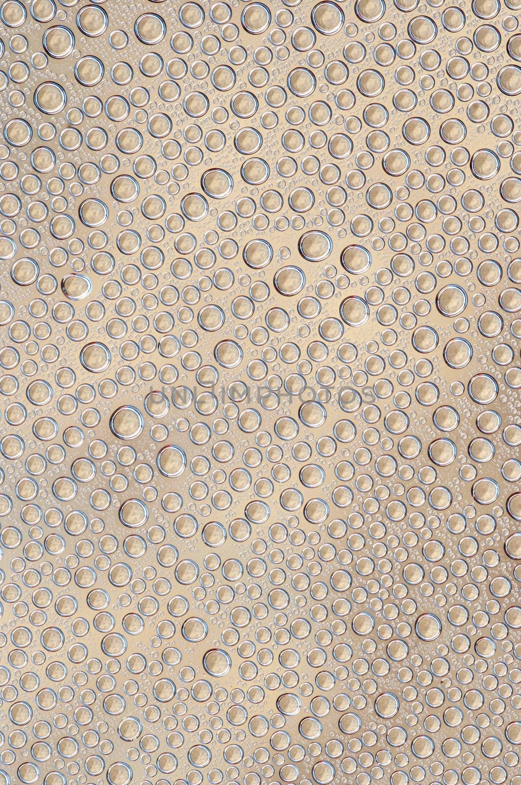 bubbles