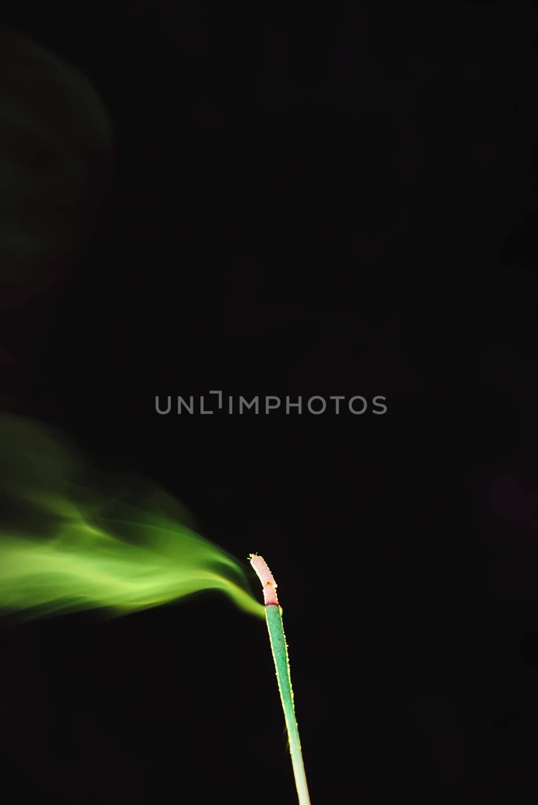 Smoke 2
