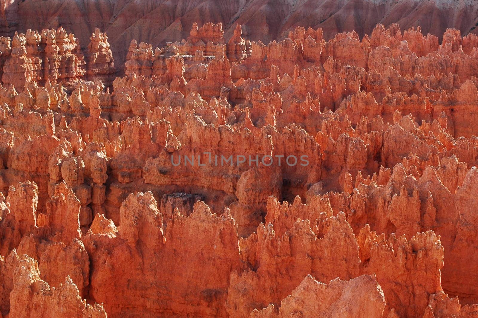Brce Canyon