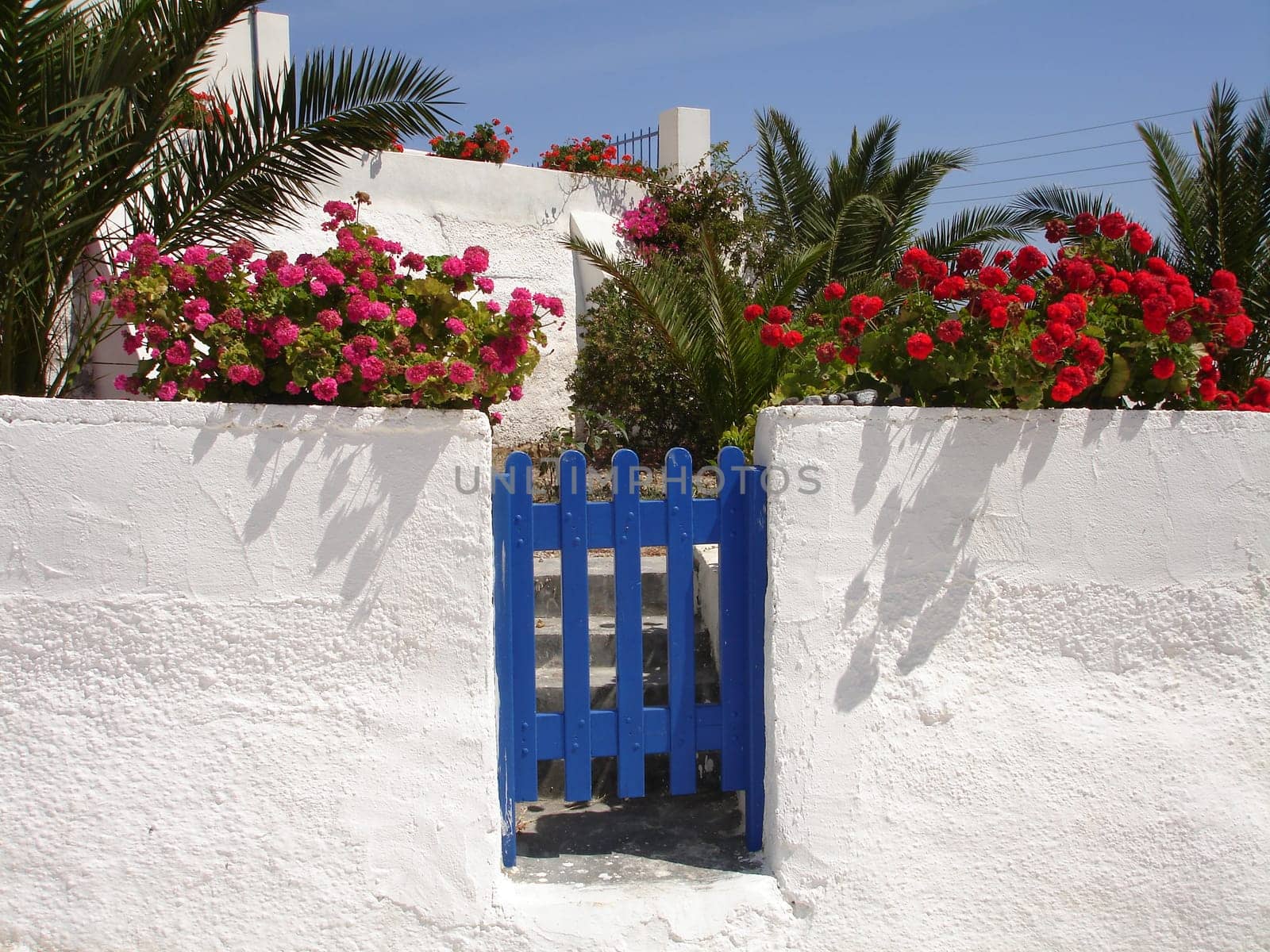 Flowers at a garden gate in Santorini