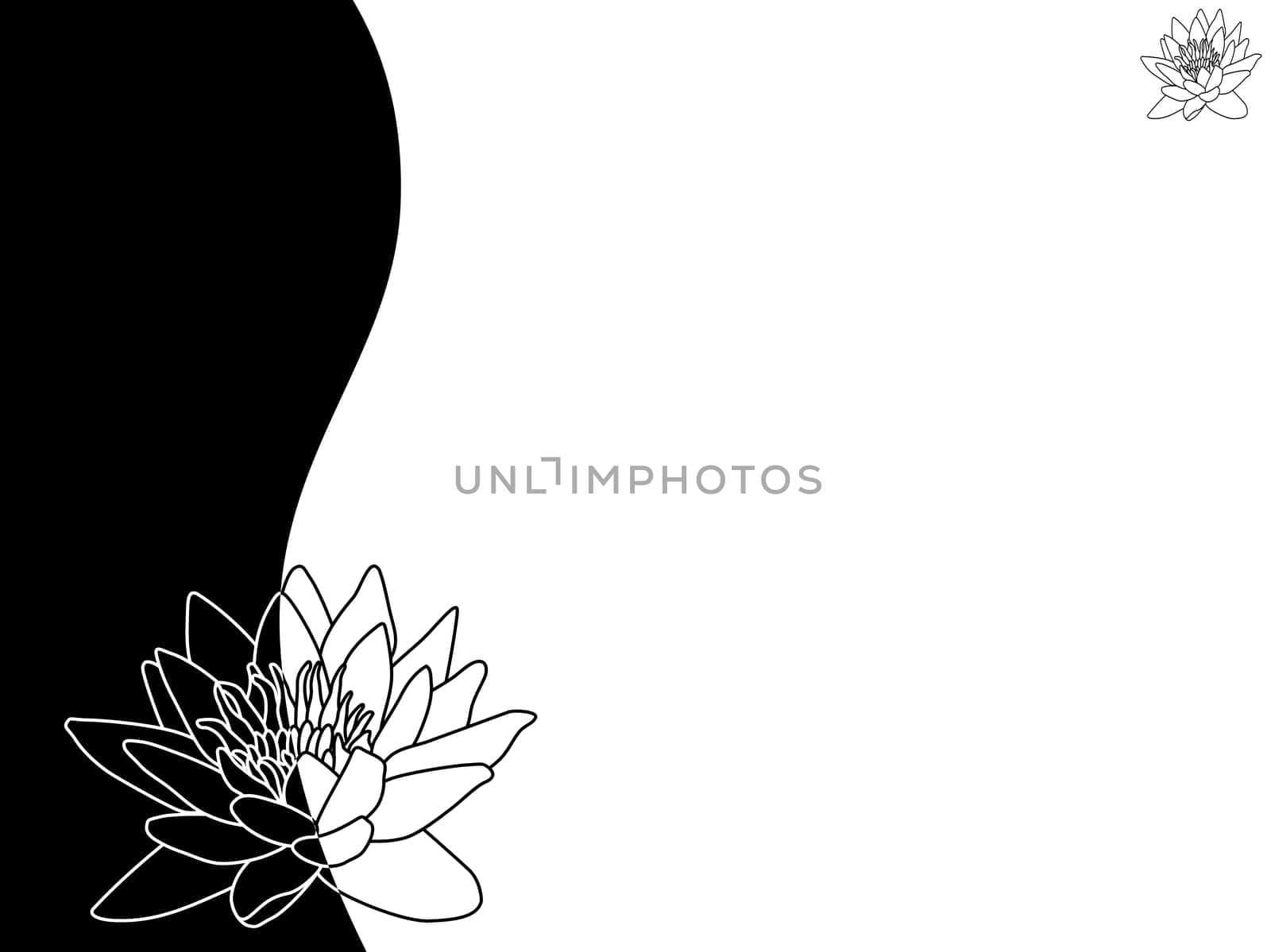floral background