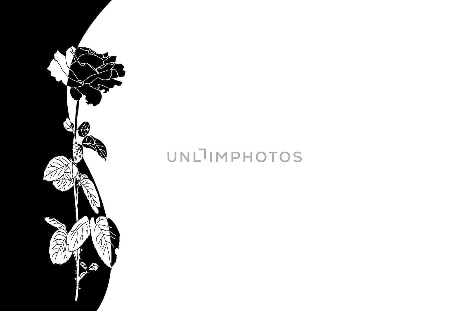 floral background