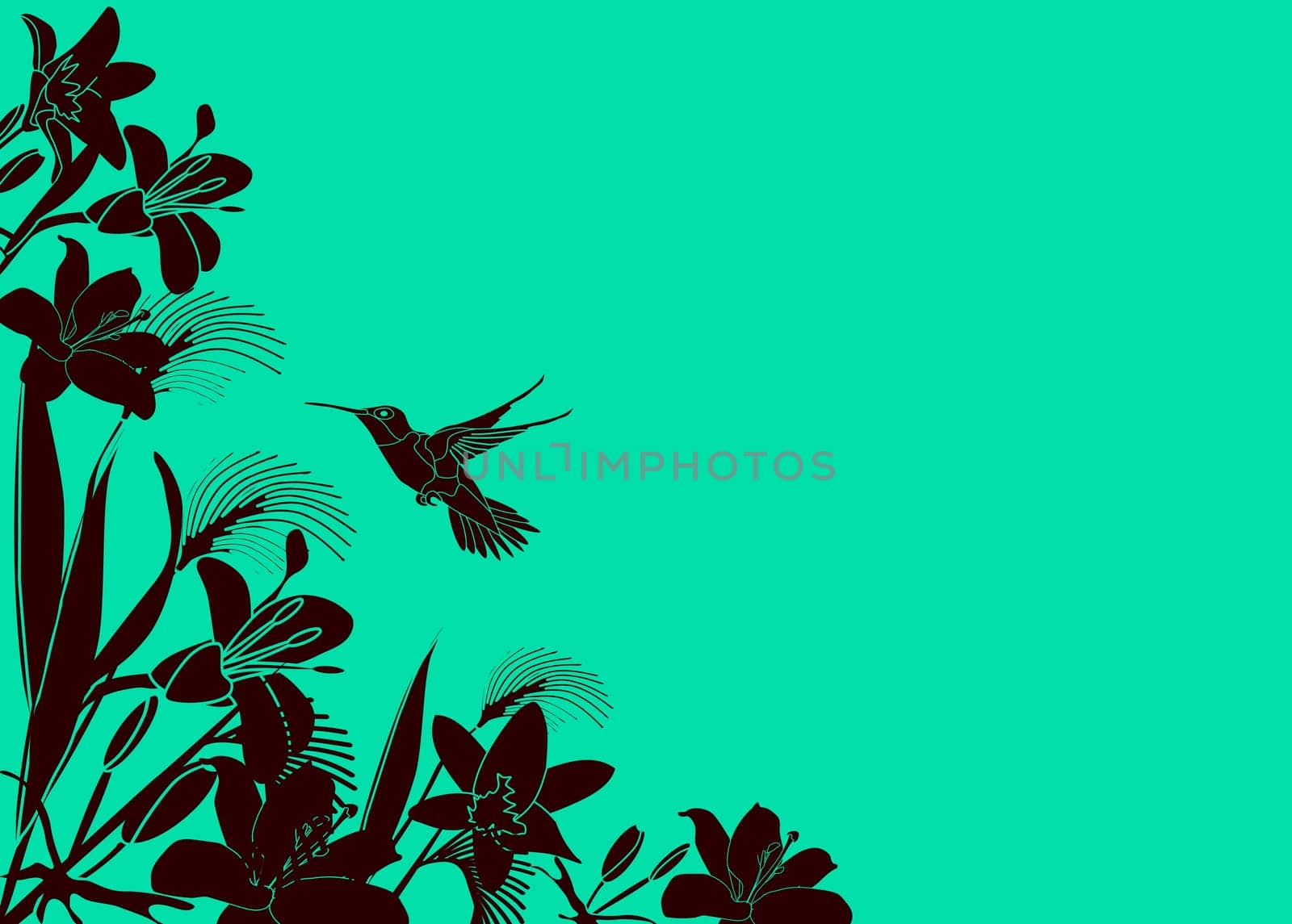 Tropical Flower