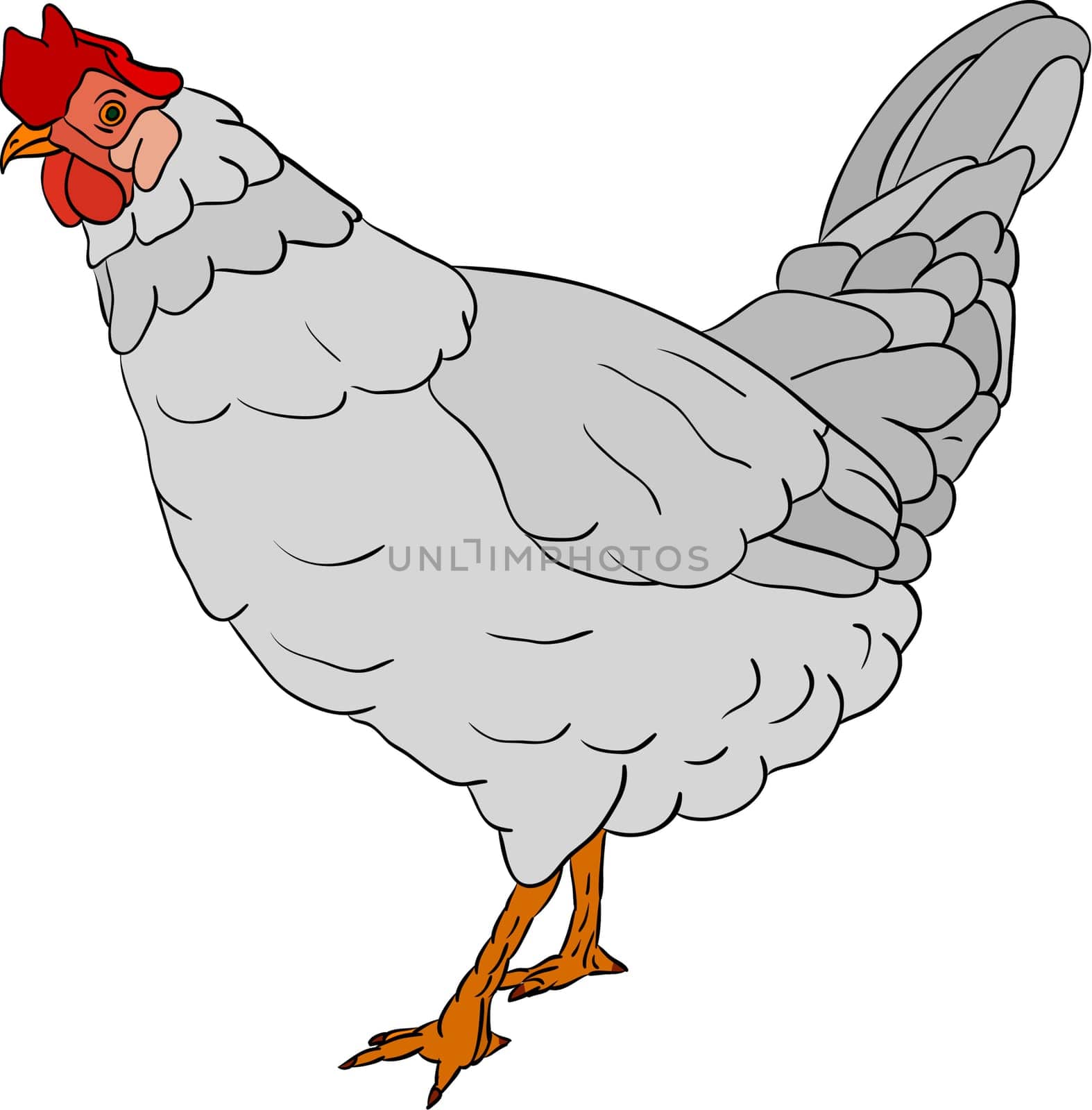 hen color