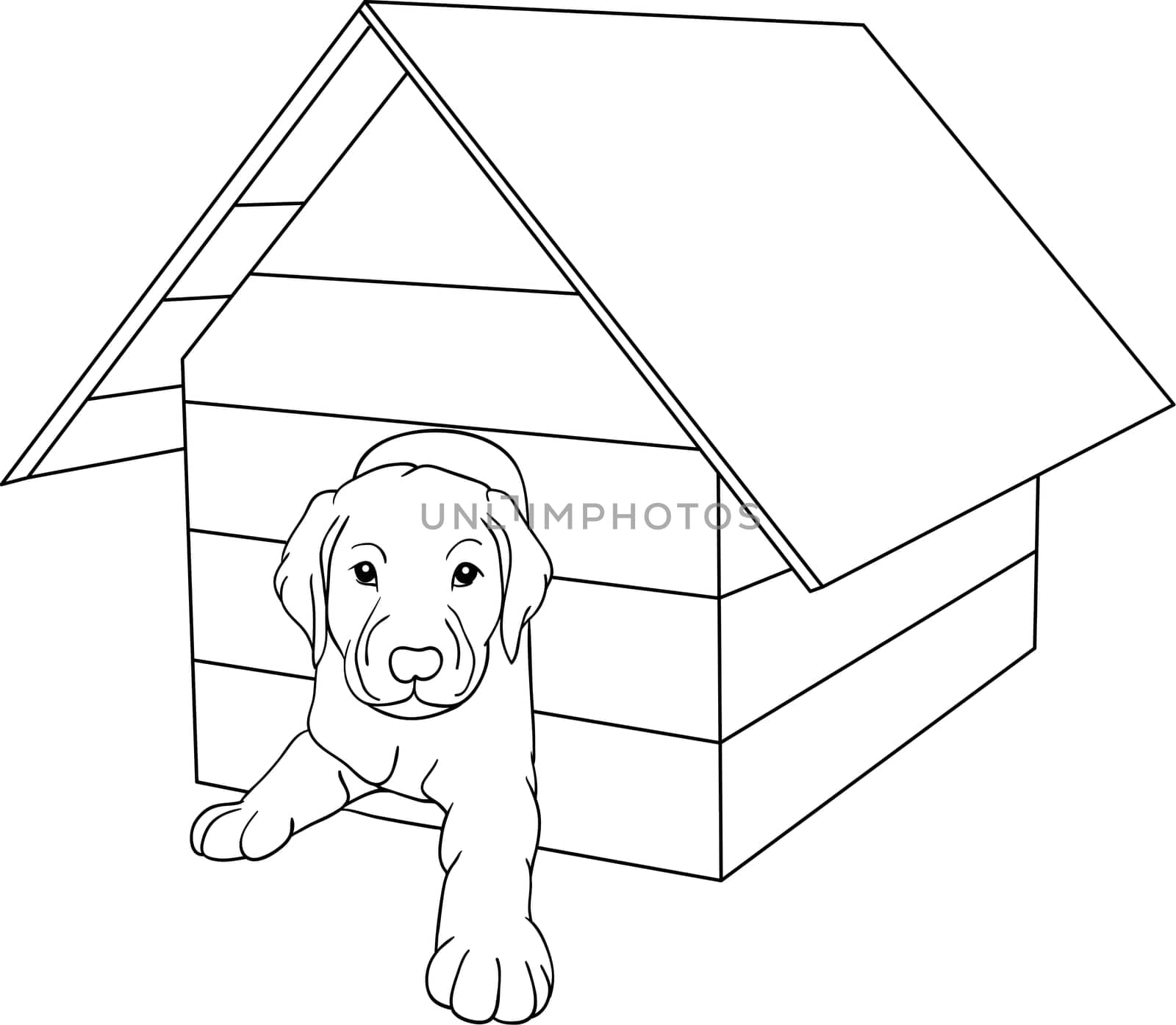 house dog