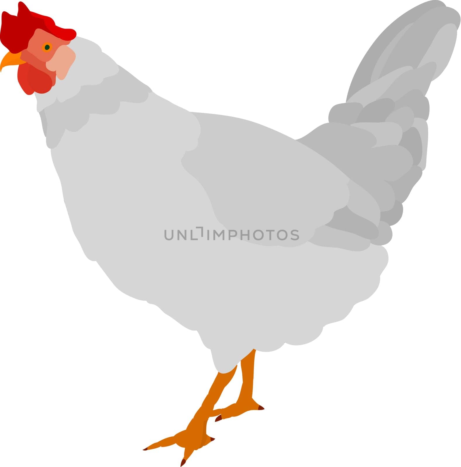 hen