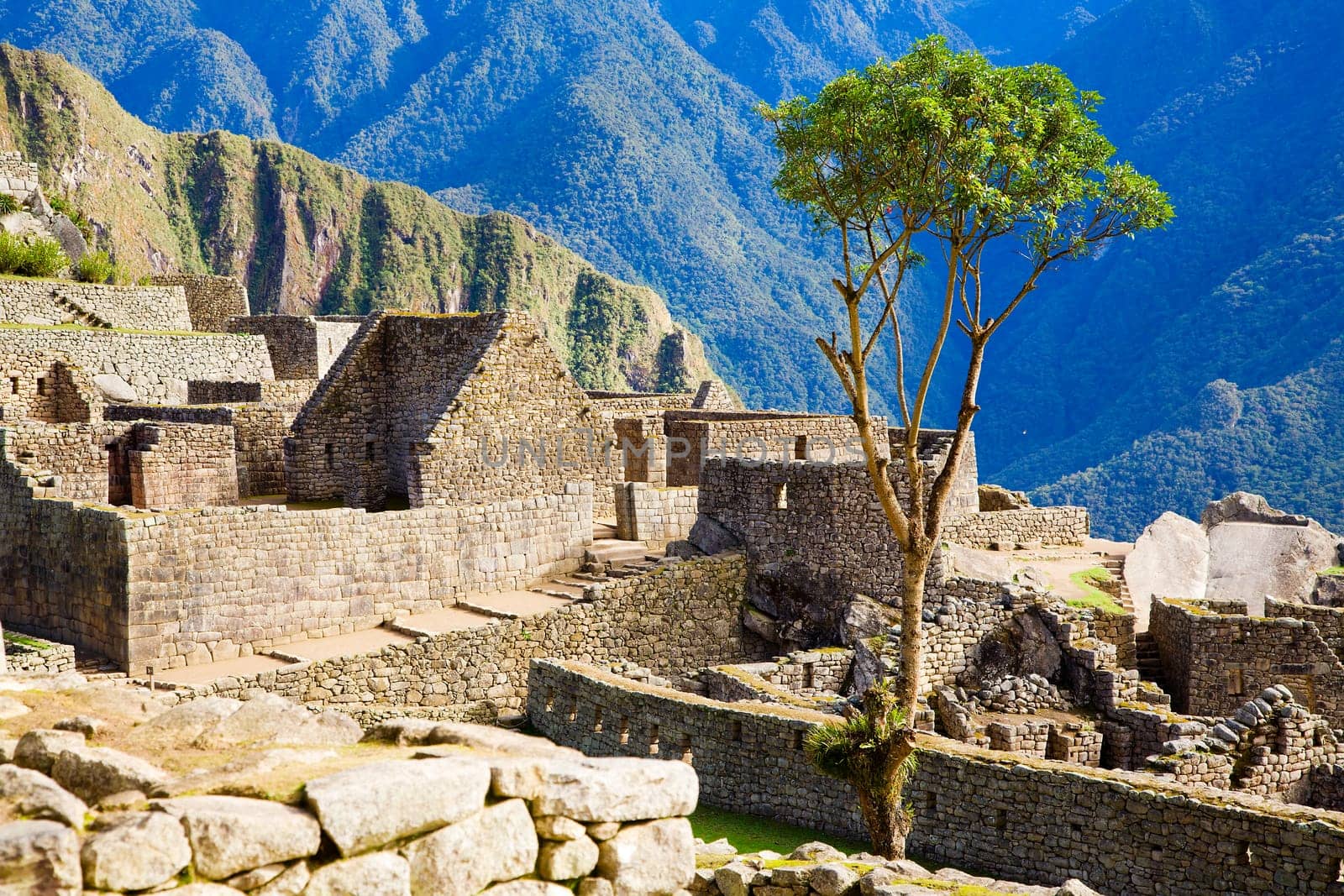 Machu Picchu