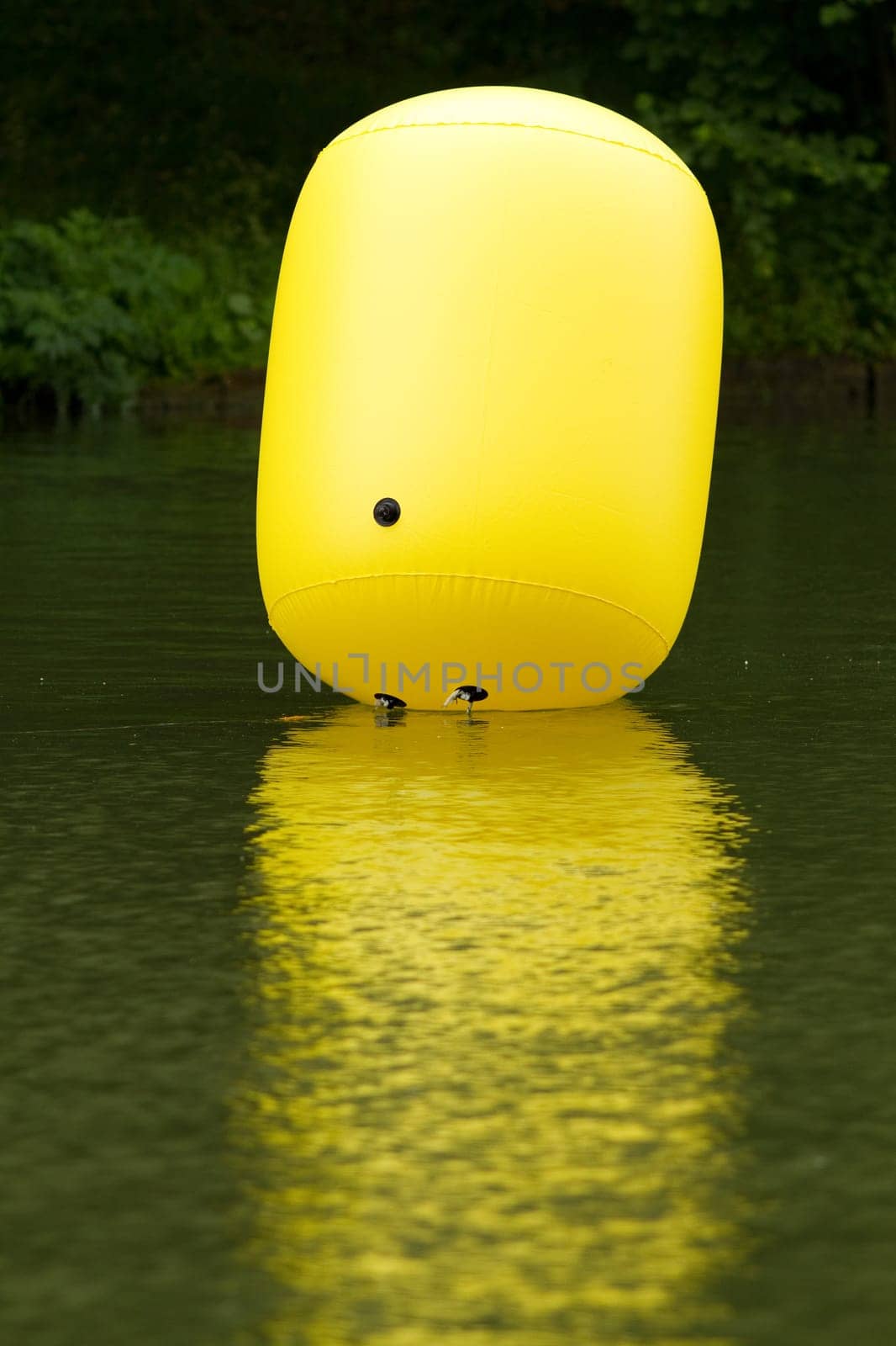 Water buoy
