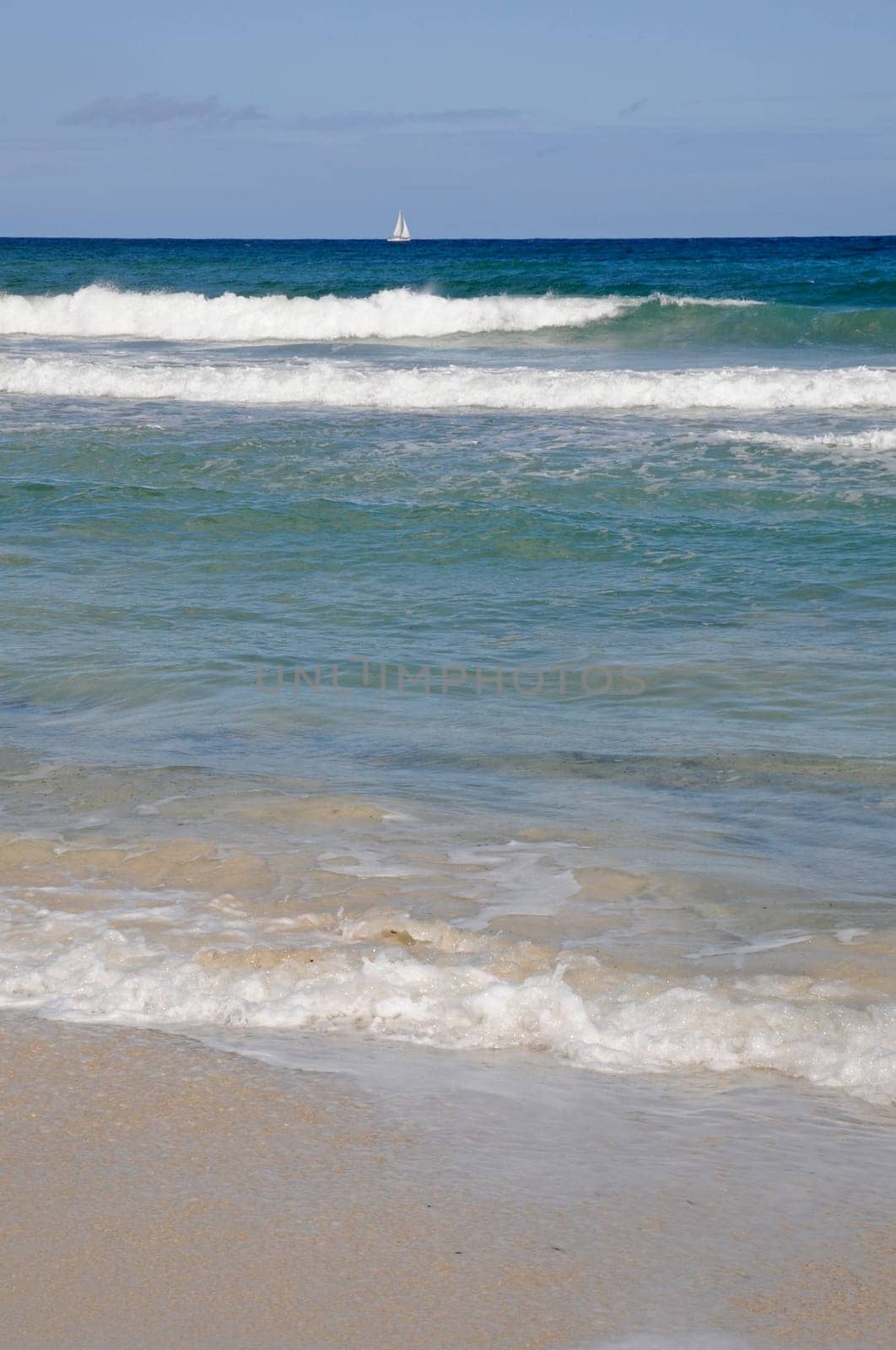 Sailboat on the sea