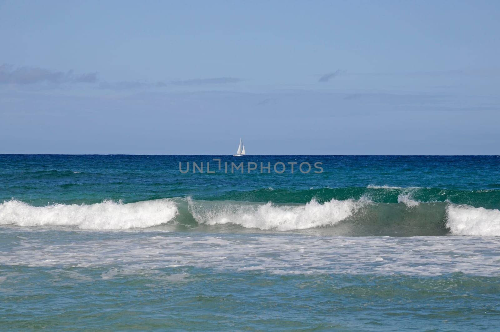 Sailboat on the sea