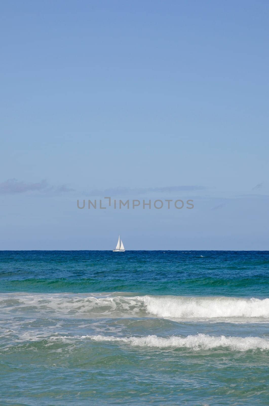 Sailboat on the sea