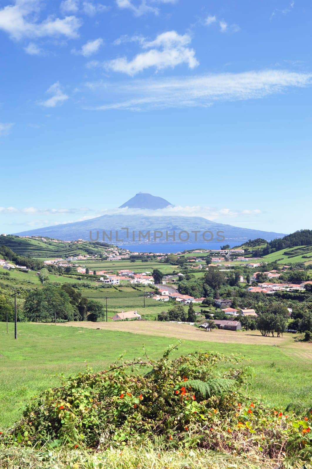 Landscape of Faial, Azores