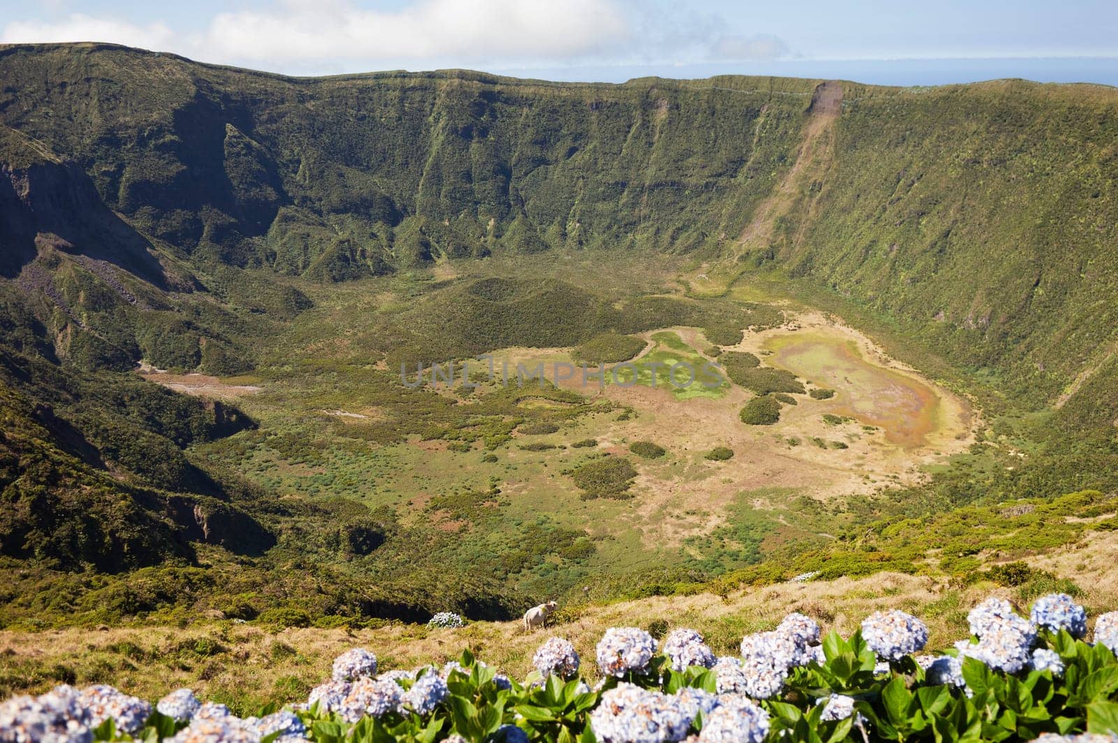 Inside of Caldeira volcano in Faial, Azores