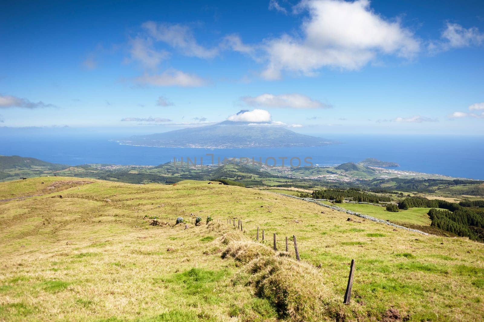 Landscape in Faial, Azores