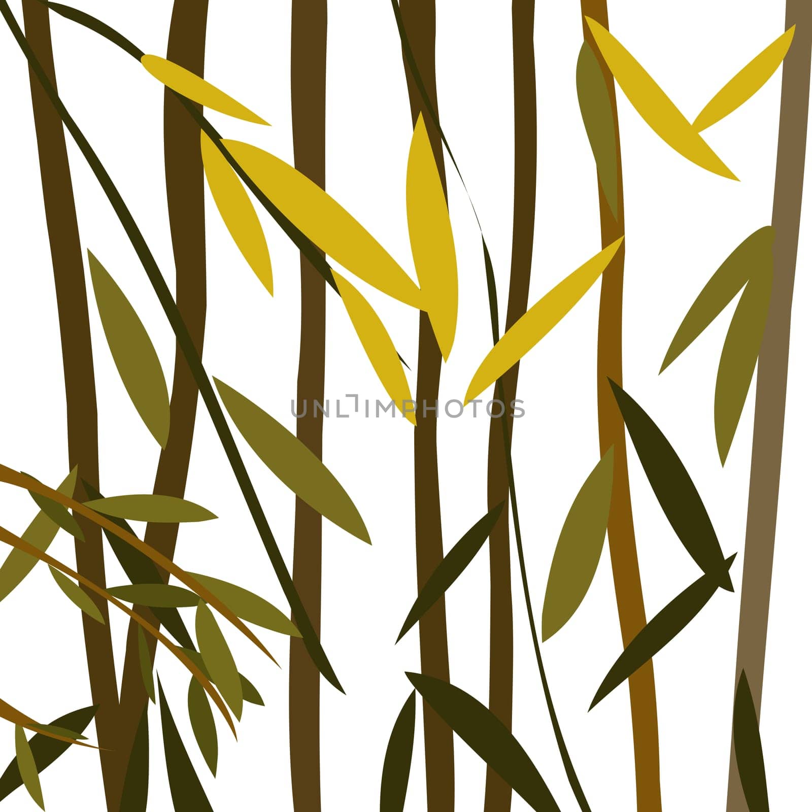 Willow