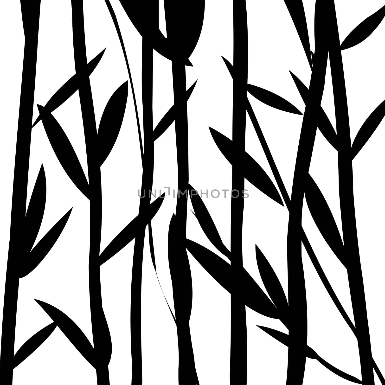 Foliage