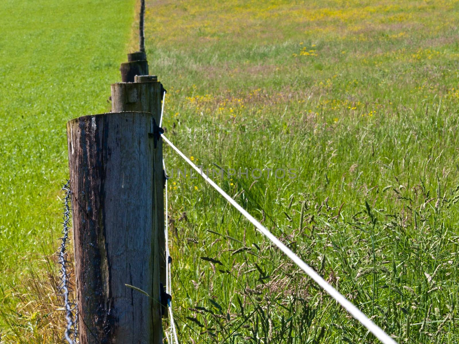 Pasture fence