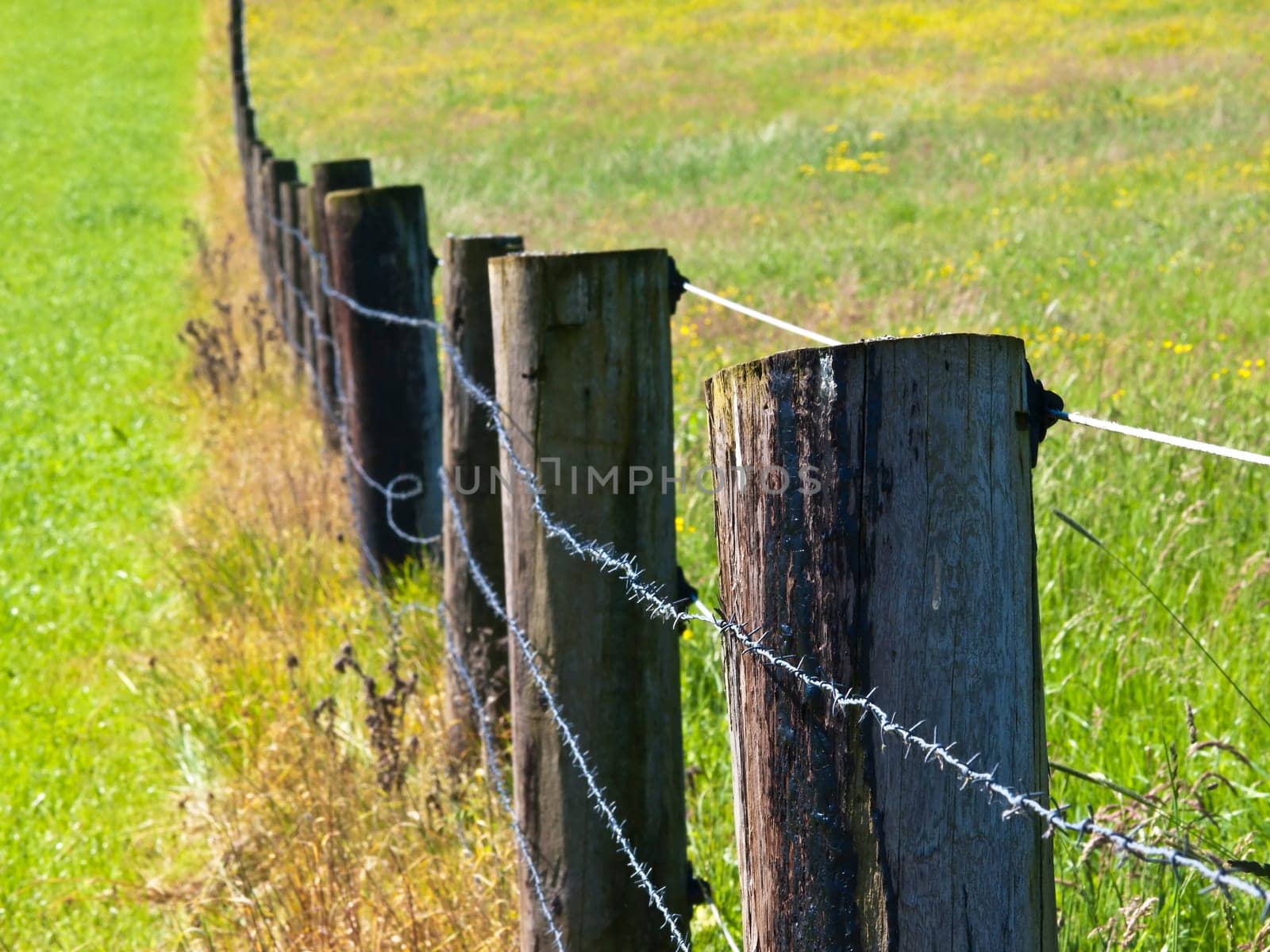 Pasture fence