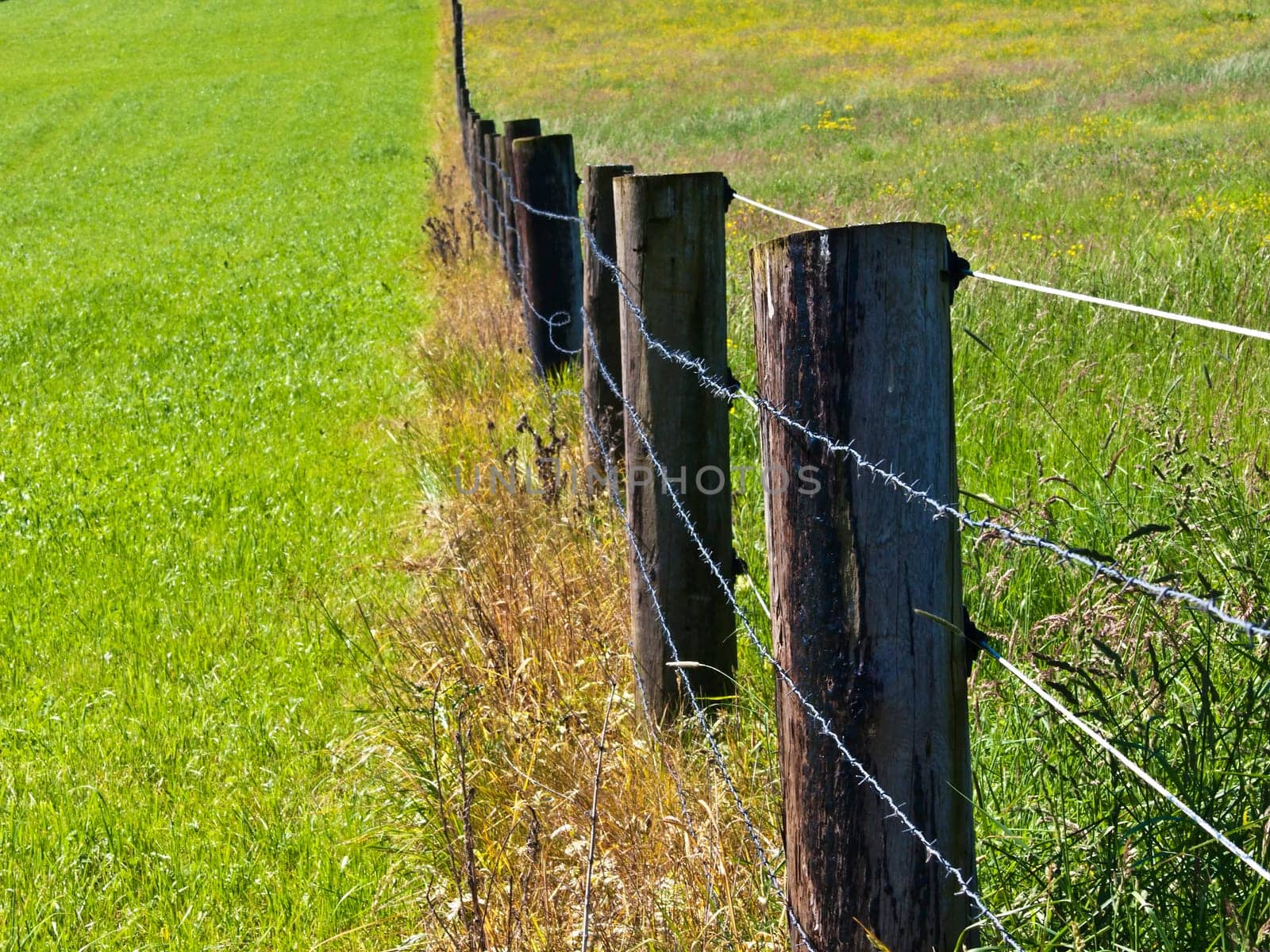 Pasture fence